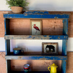blue-shelving-unit-5
