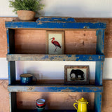 blue-shelving-unit-5