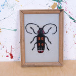 bug-picture-1