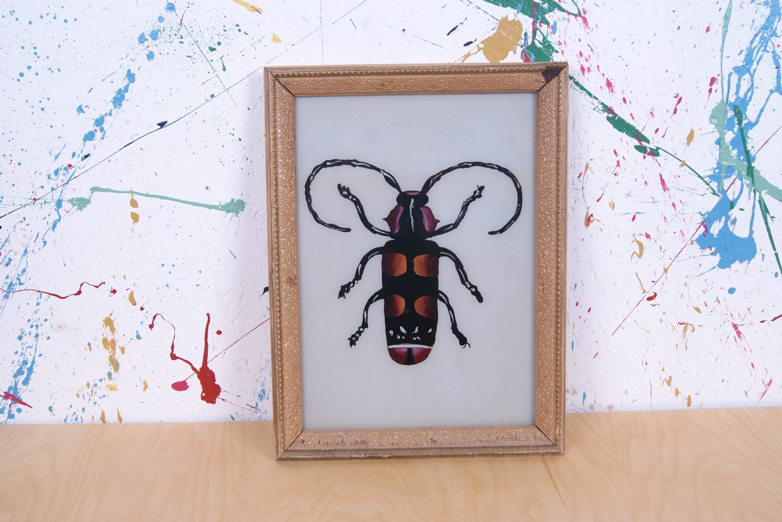 bug-picture-1
