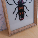 bug-picture-3