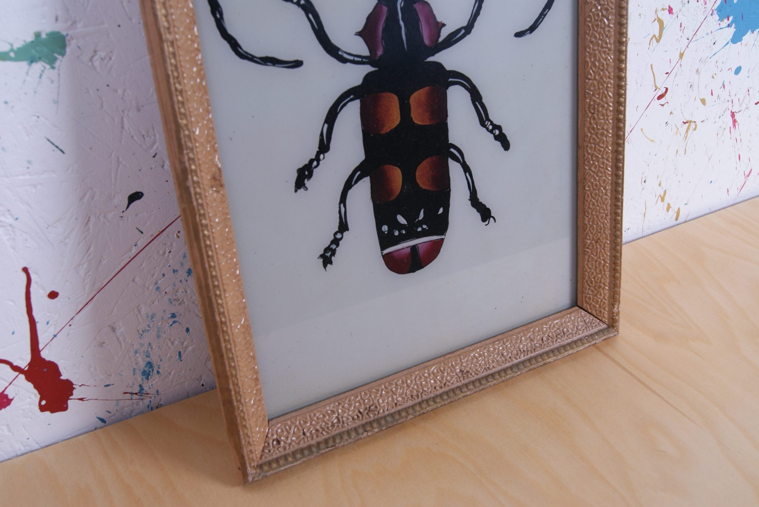 bug-picture-3