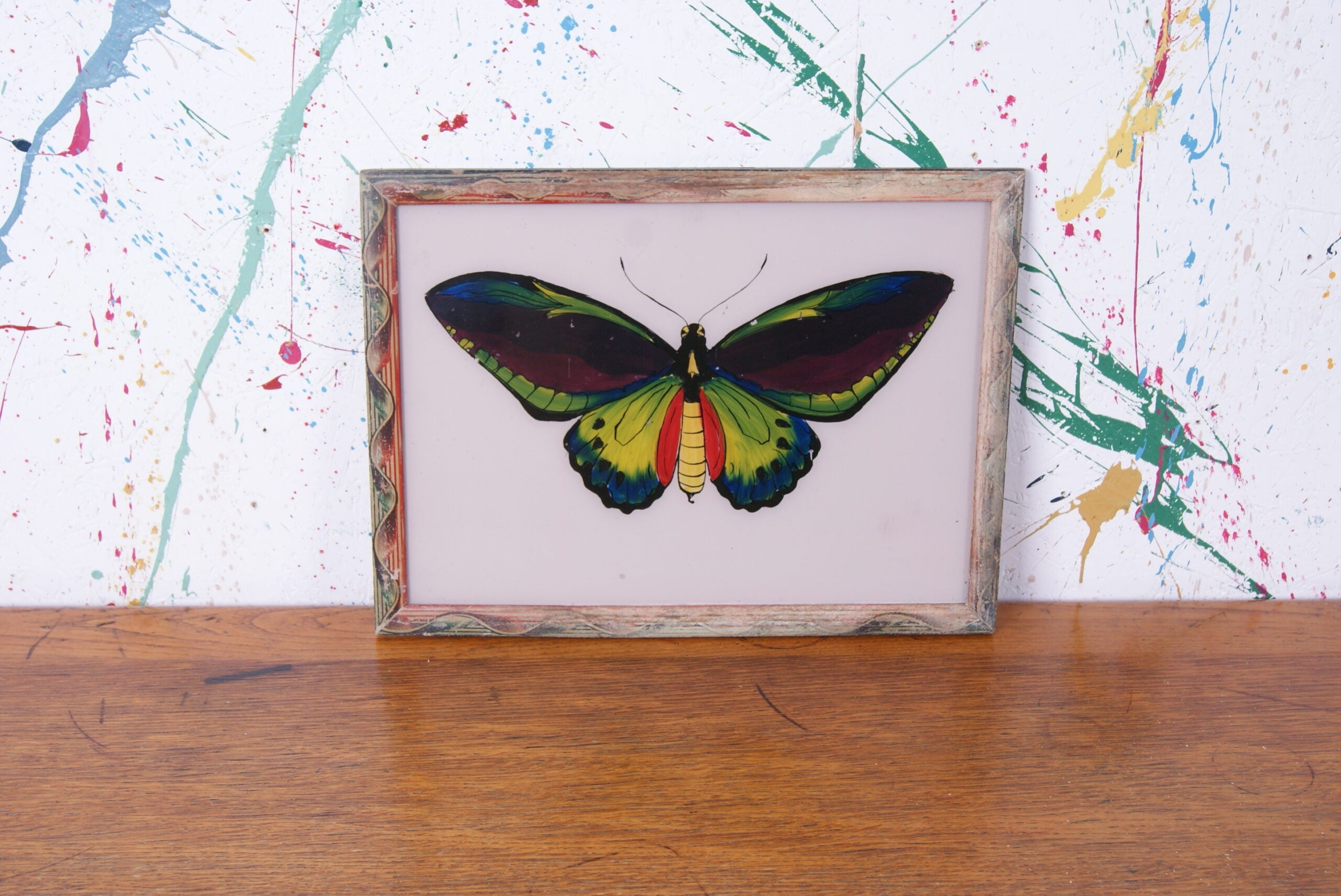 butterfly-indian-picture-1