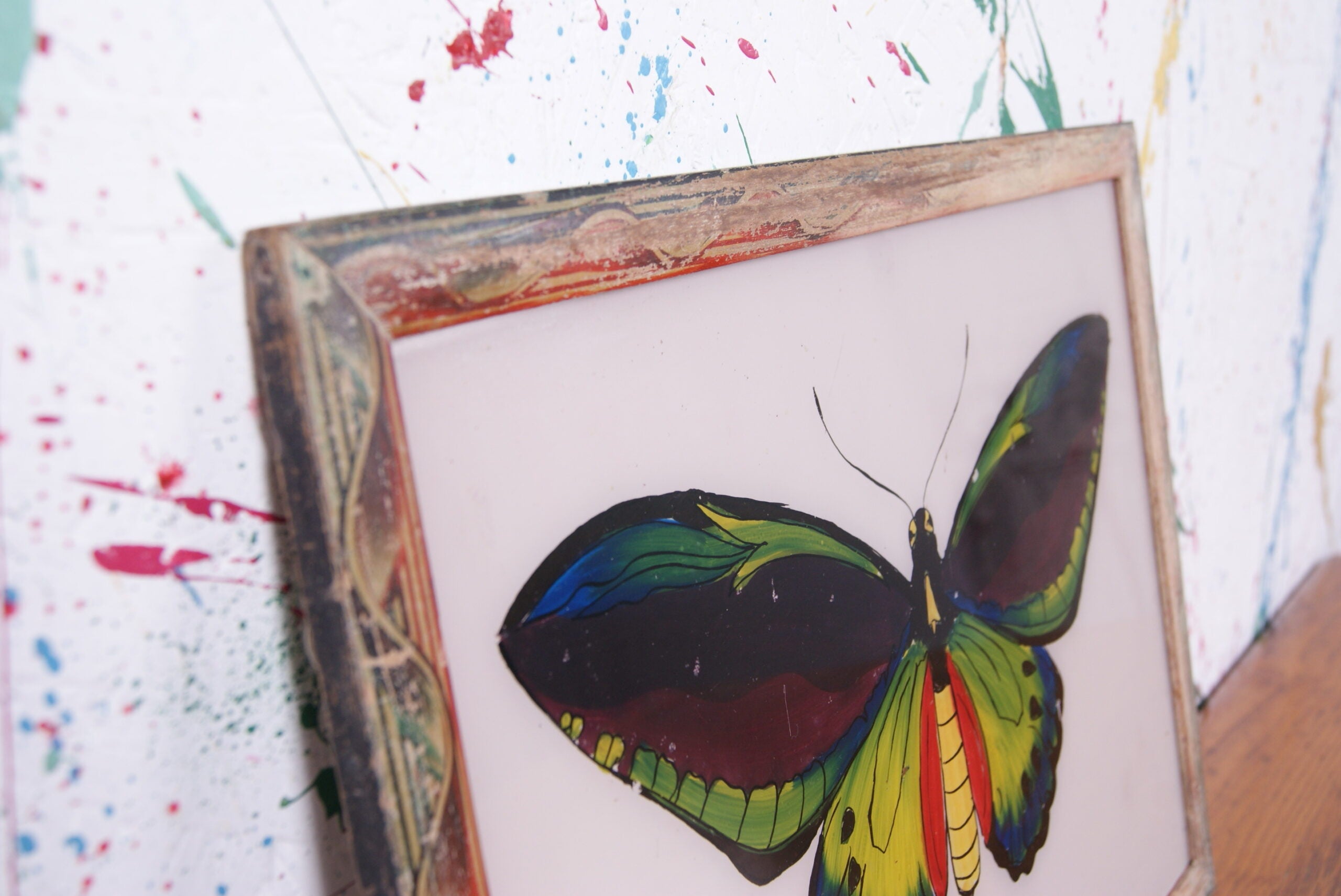 butterfly-indian-picture-2