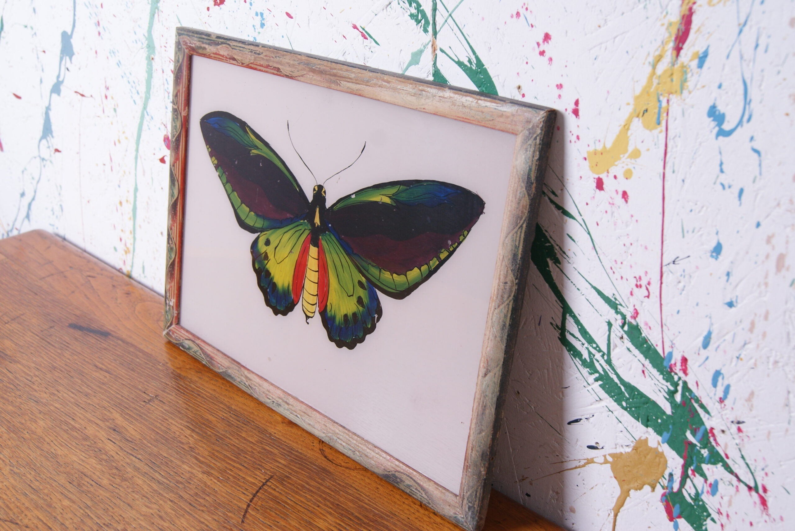 butterfly-indian-picture-3
