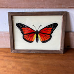 butterfly-picture-1