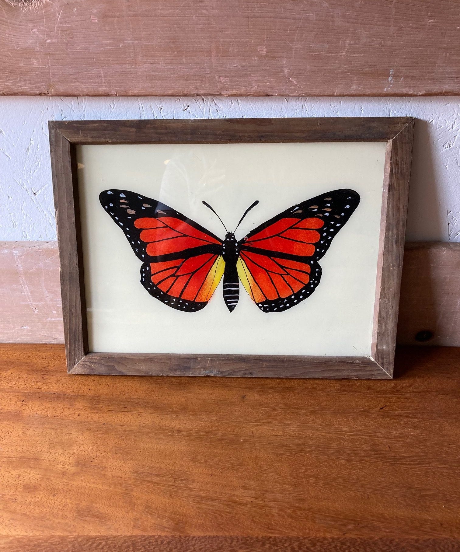 butterfly-picture-1
