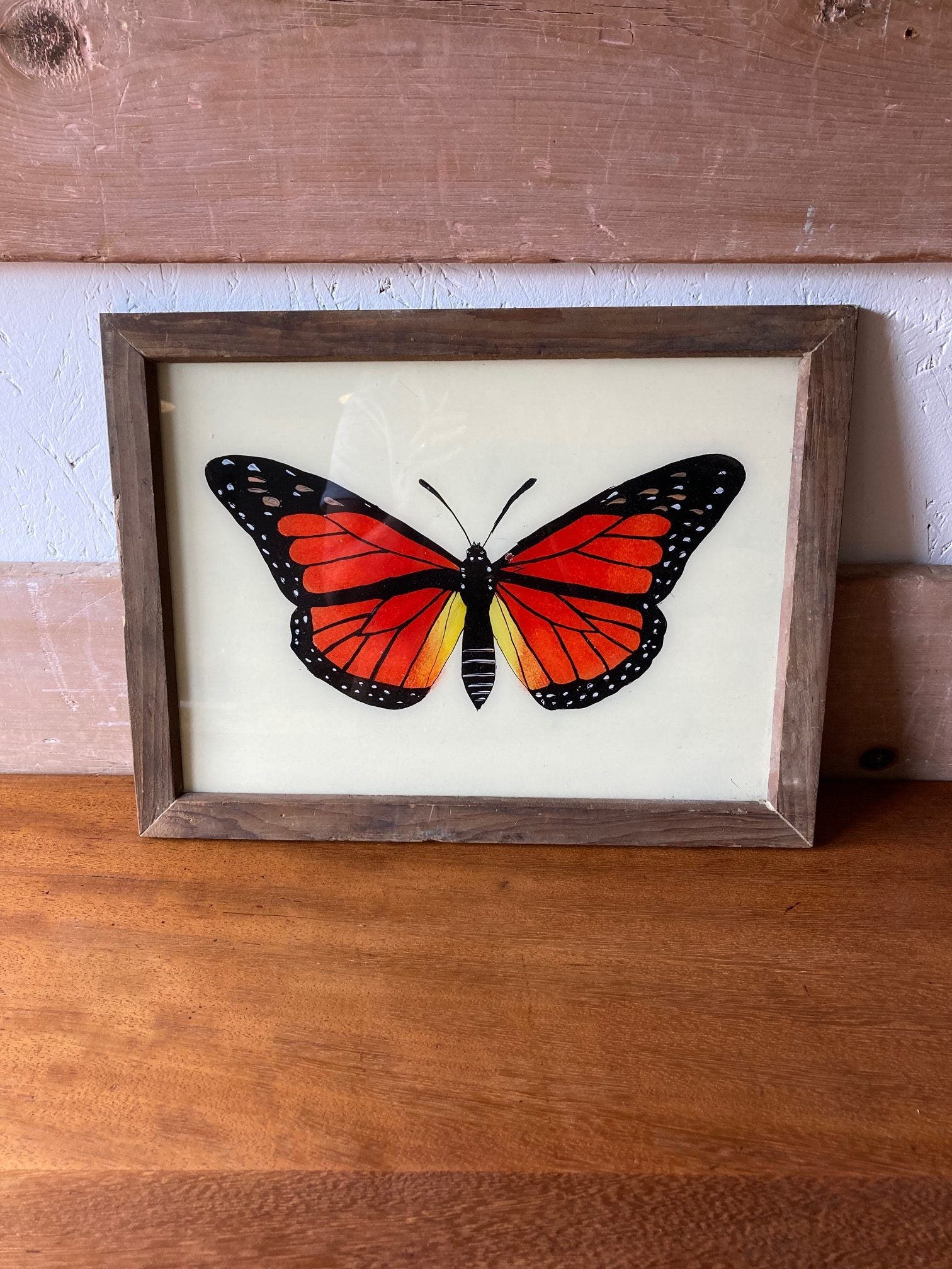 butterfly-picture-1