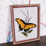 butterfly-picture-1