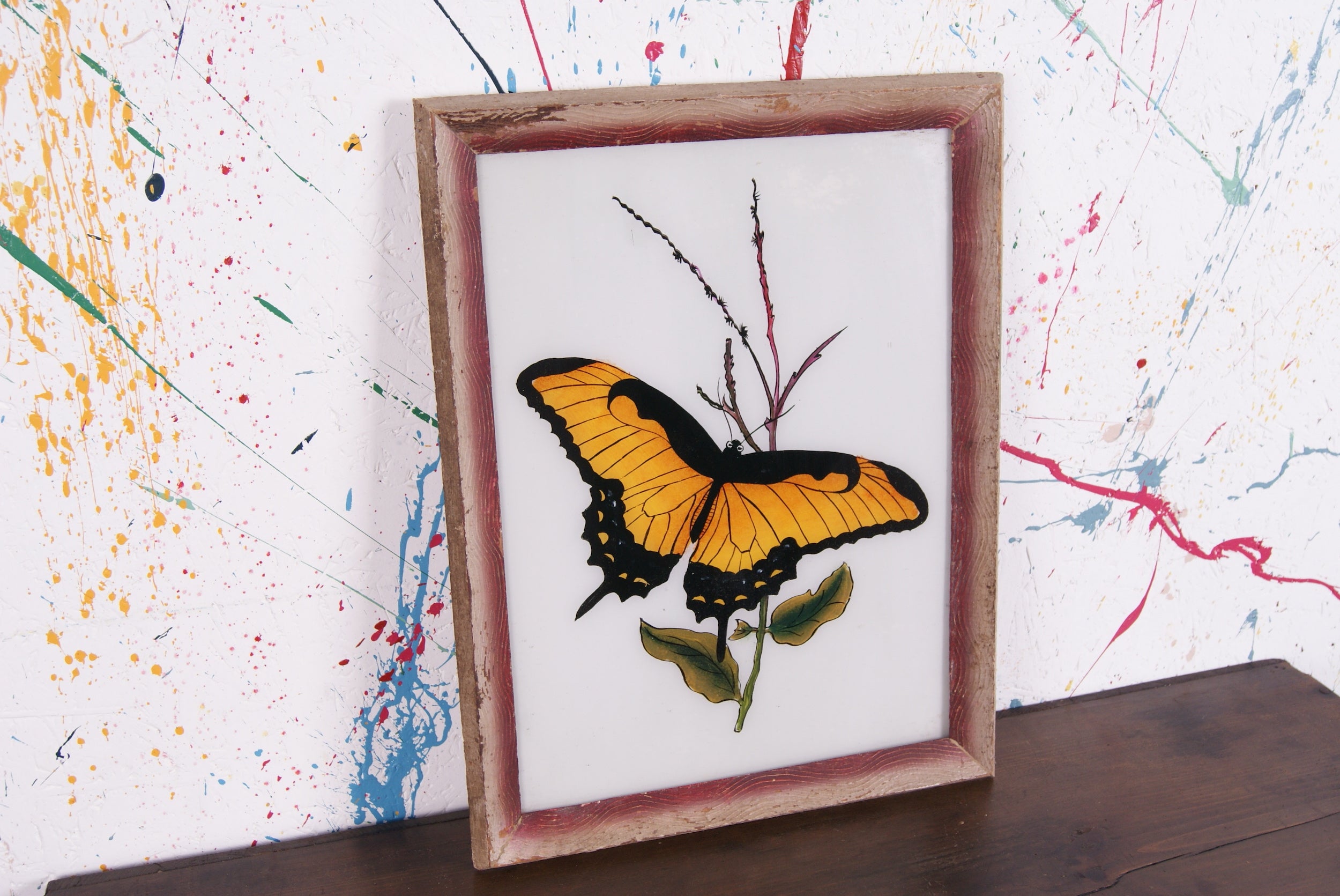 butterfly-picture-1