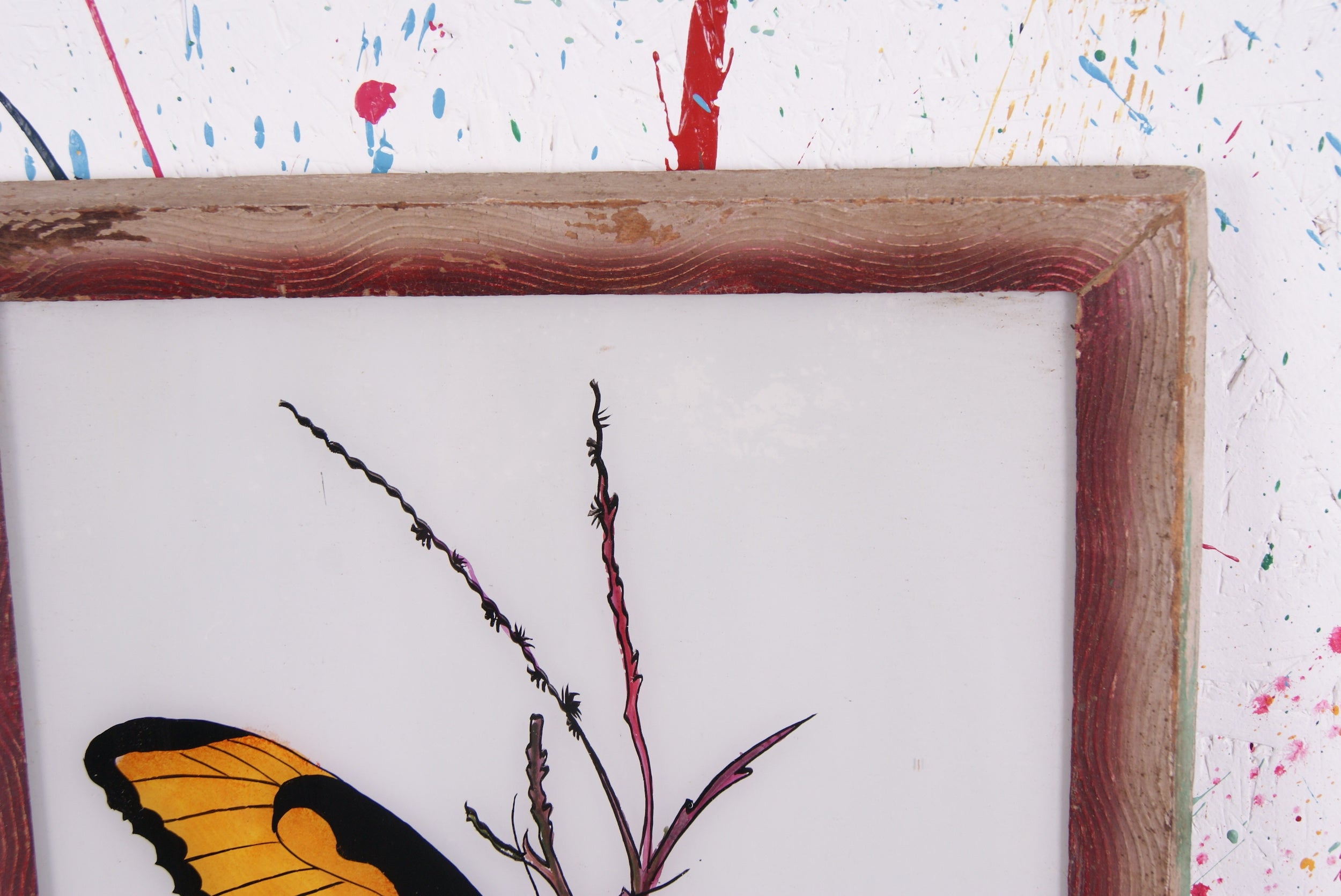 butterfly-picture-2