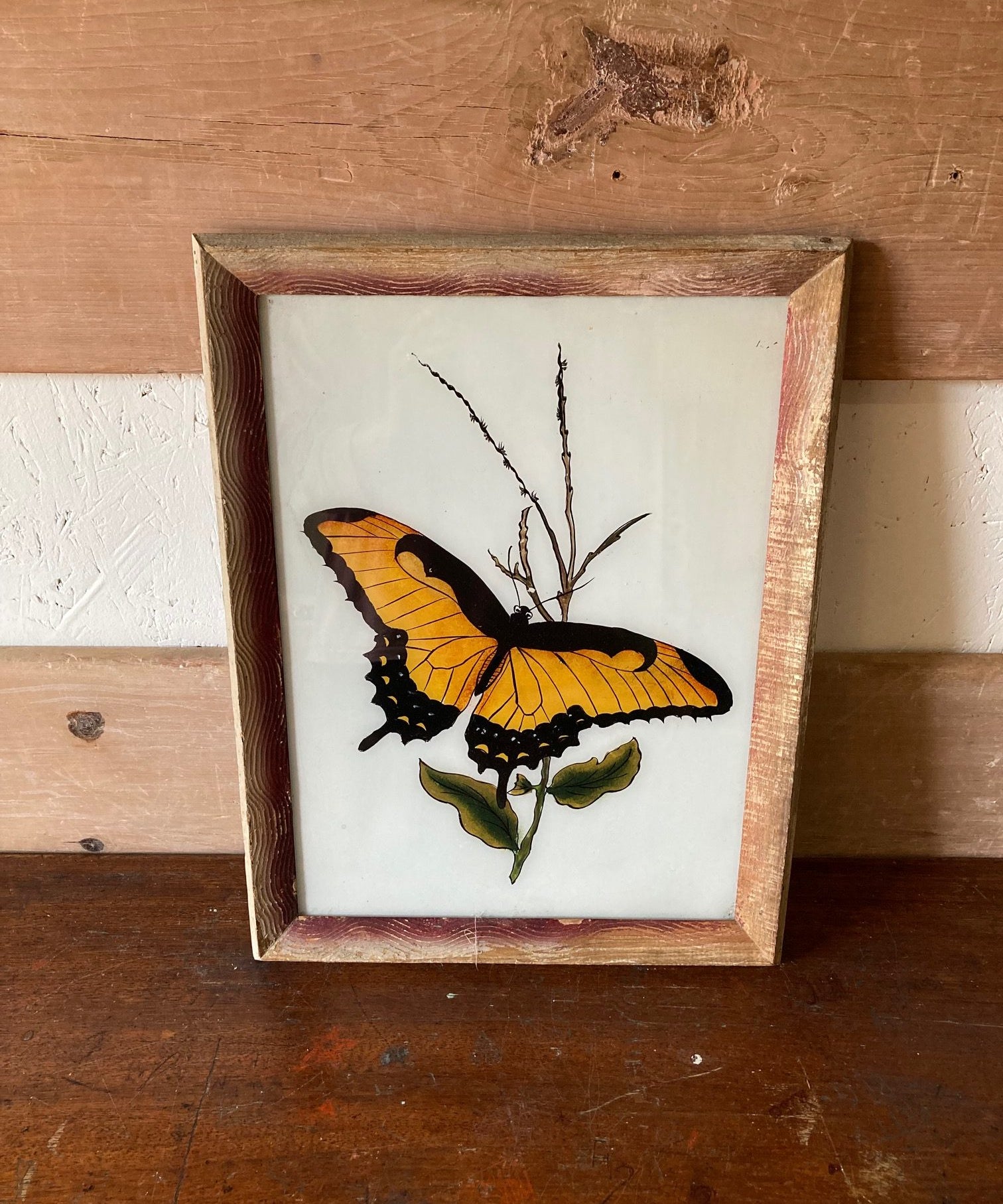 butterfly-picture