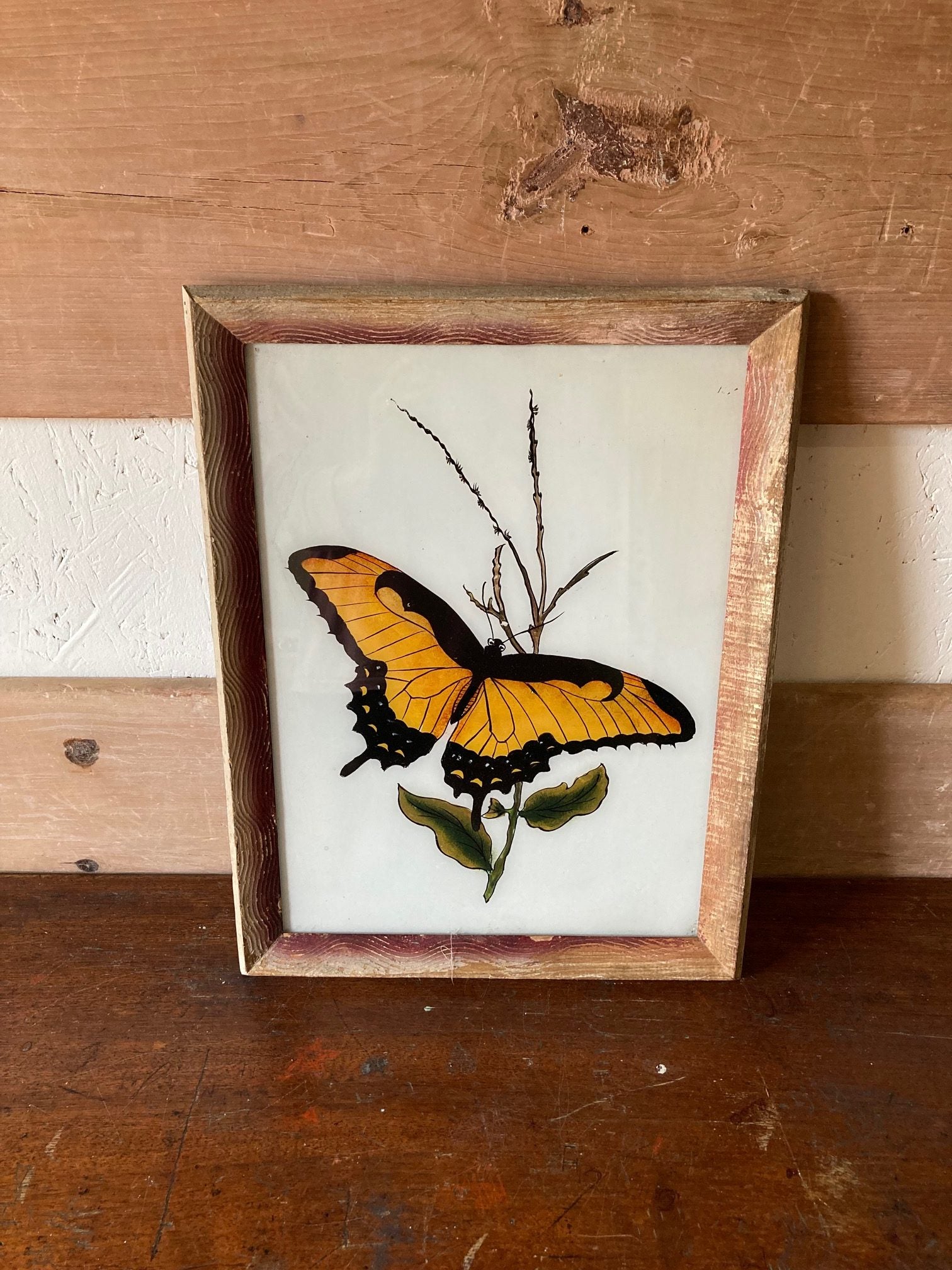 butterfly-picture