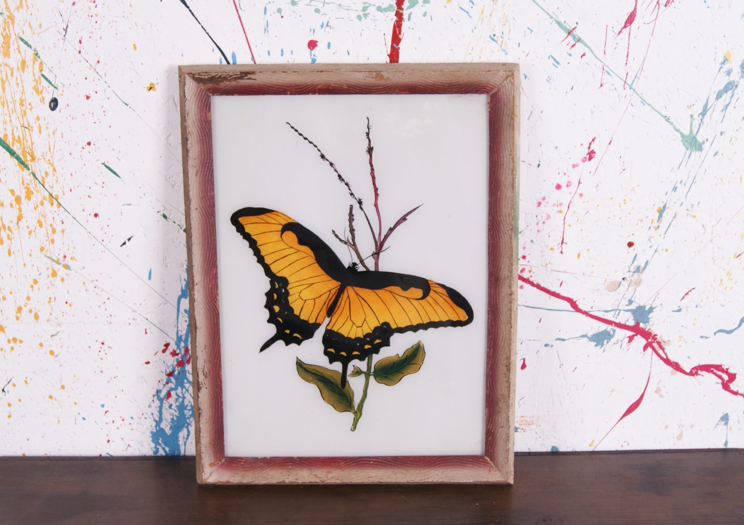 butterfy-picture-3