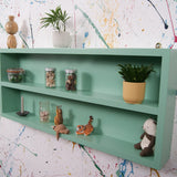 customised-display-shleves-11
