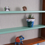 display-cabinet-6