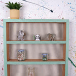display-shelf-4