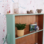 display-shelf-arsenic-5