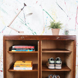 double-french-tambour-cabinet-24