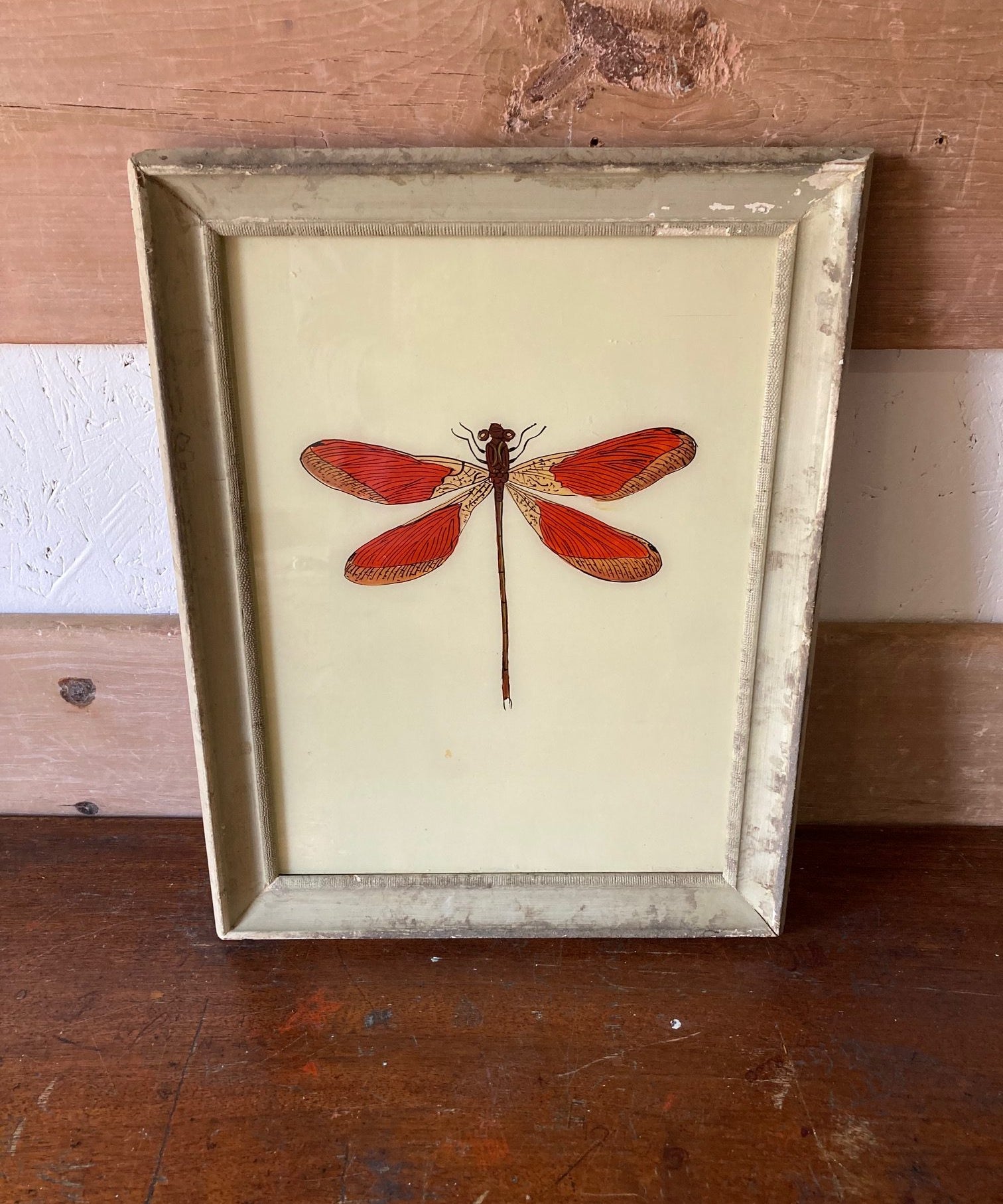 dragonfly-picture