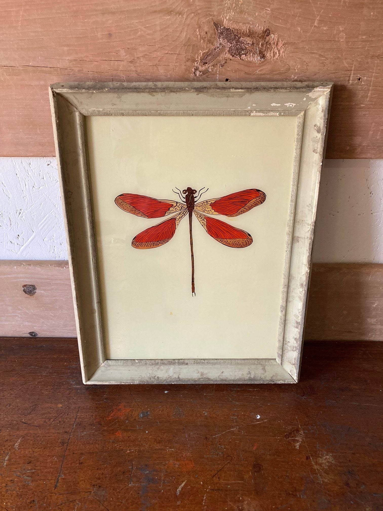 dragonfly-picture