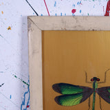 dragonfly-picture-2