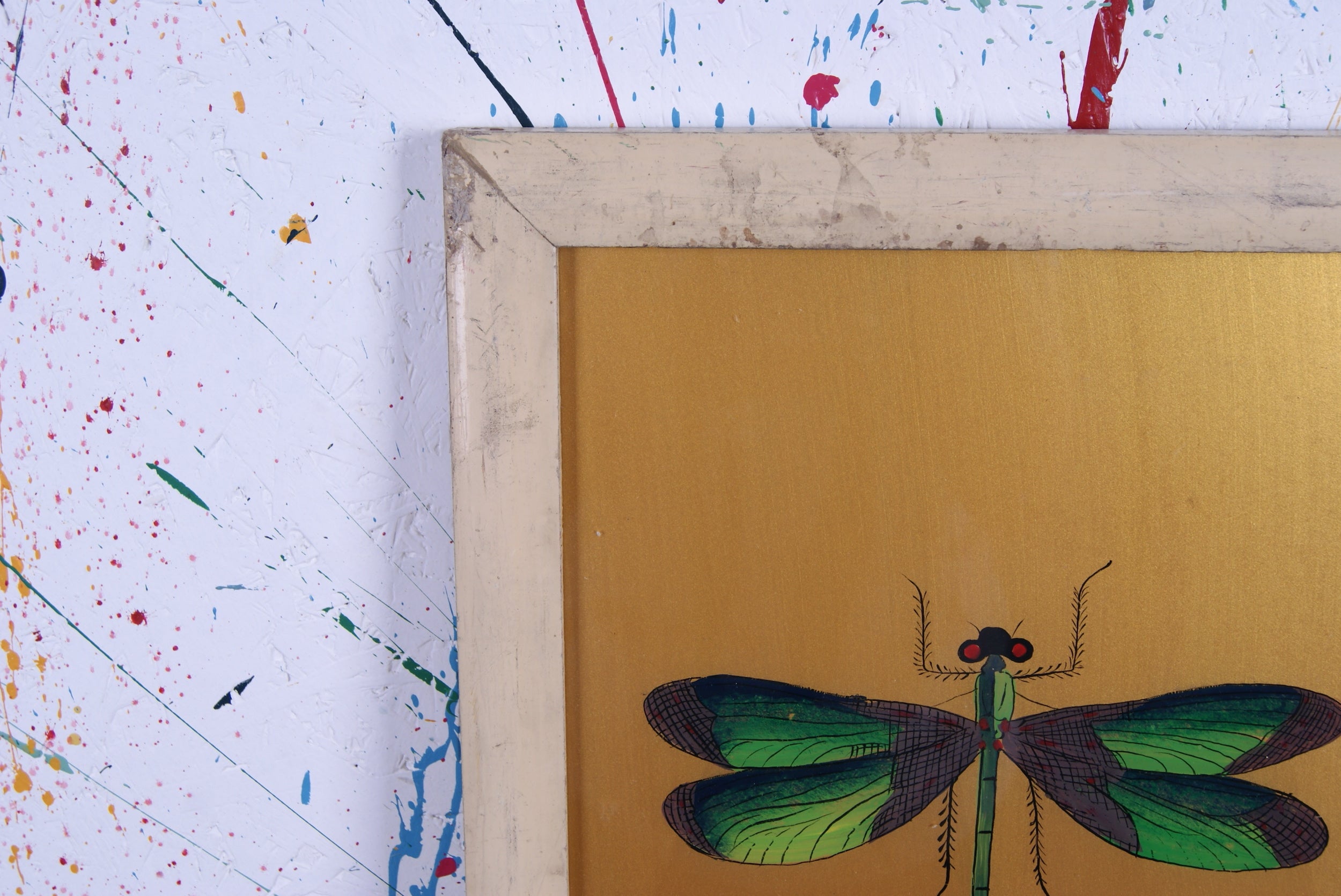 dragonfly-picture-2