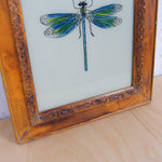 dragonfly-picture-3