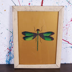 dragonfly-picture-3