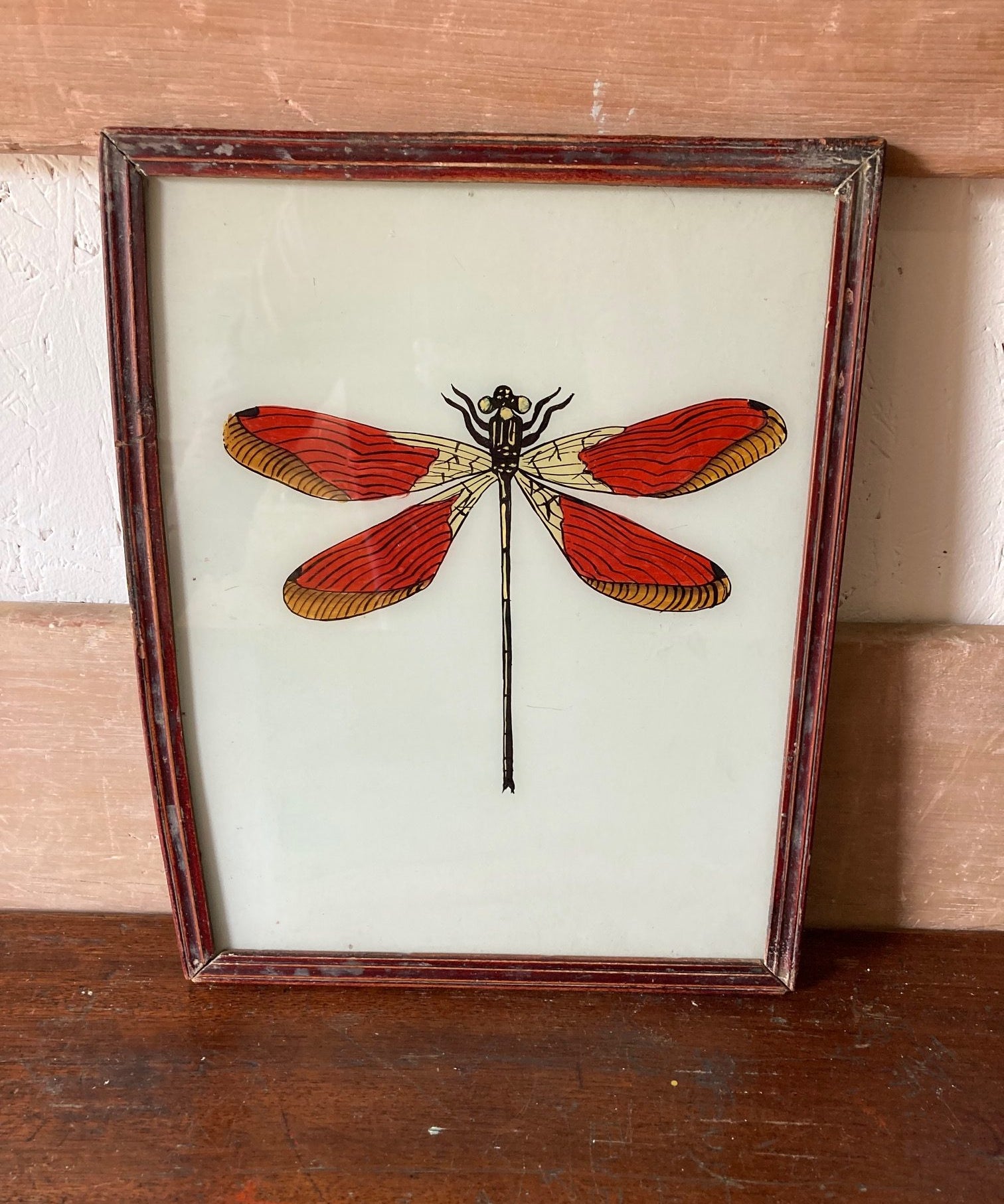 dragonfly-picture