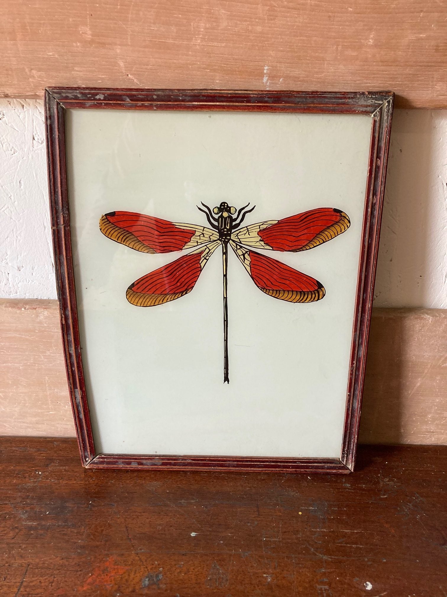 dragonfly-picture