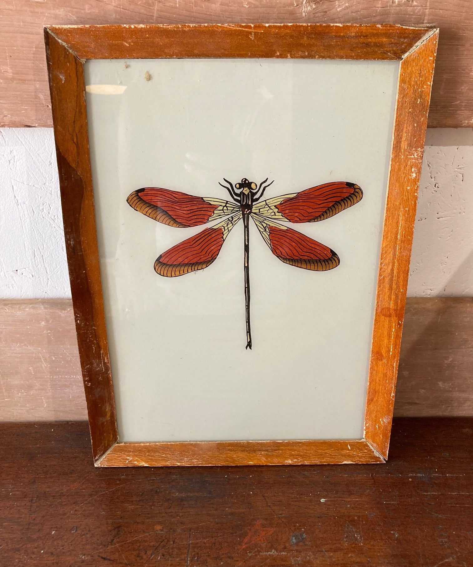 dragonfly
