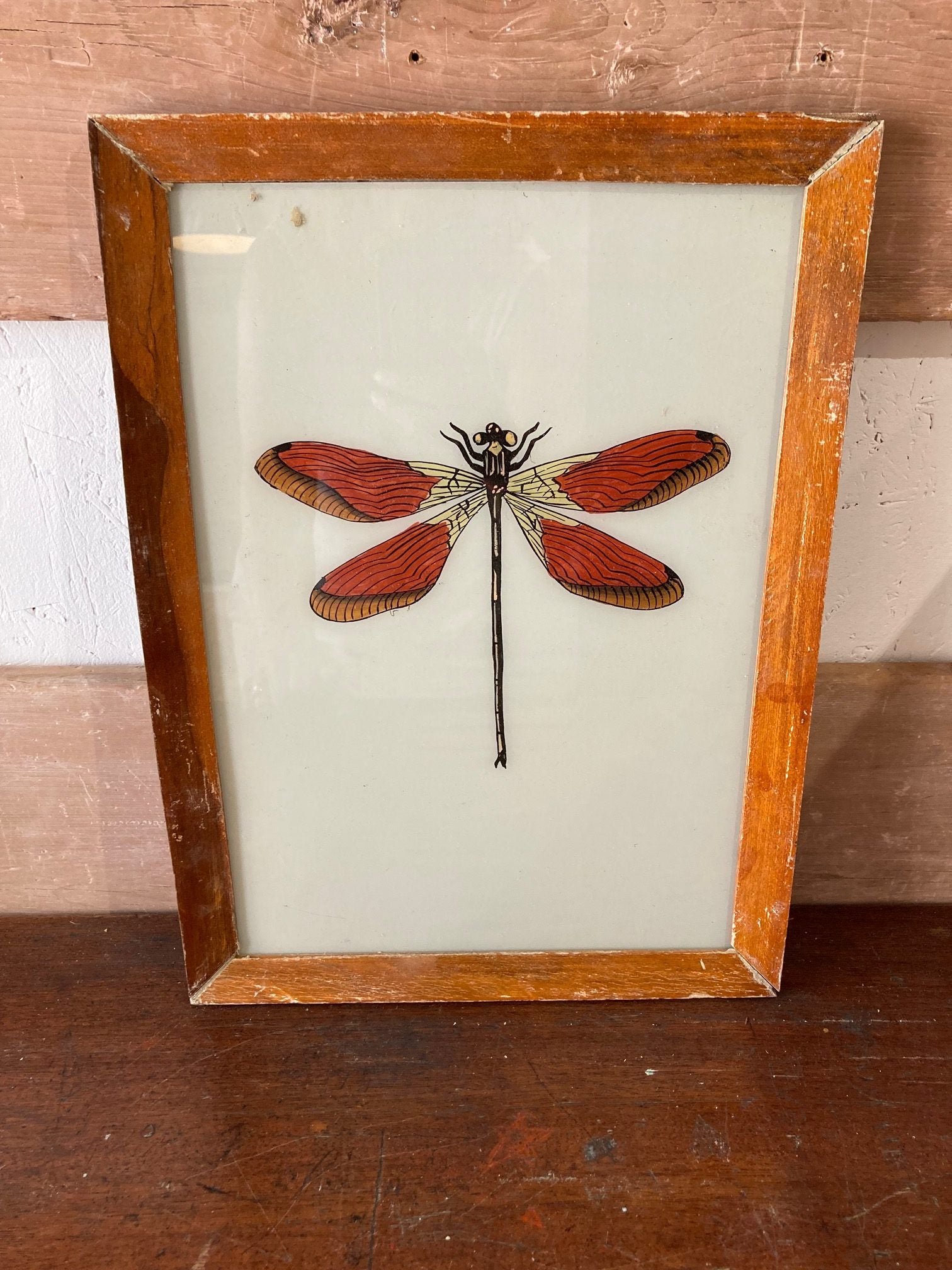dragonfly