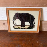 elephant-picture-1