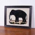 elephant-picture-1
