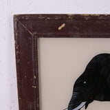 elephant-picture-4