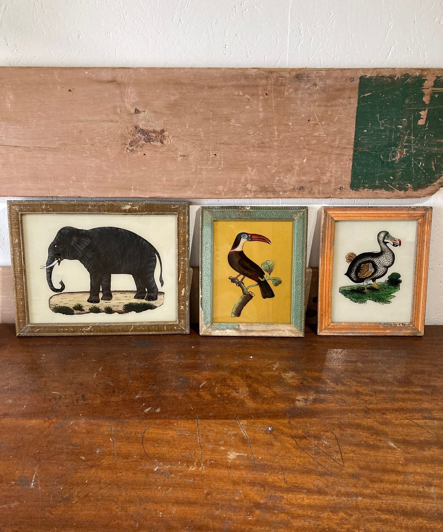 elephant, toucan-dodo