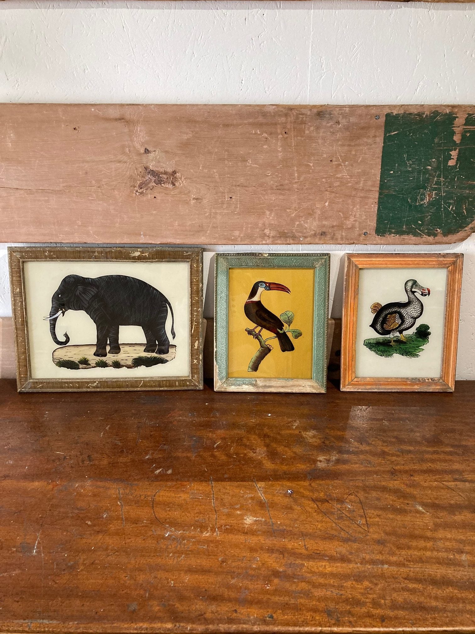 elephant, toucan-dodo