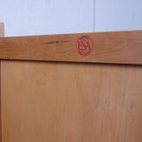 esavian-school-cupboard-6
