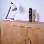 esavian-school-cupboard-7