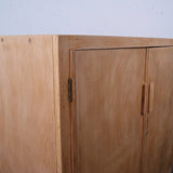 esavian-school-cupboard-9
