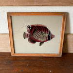 fish-3