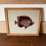 fish-3