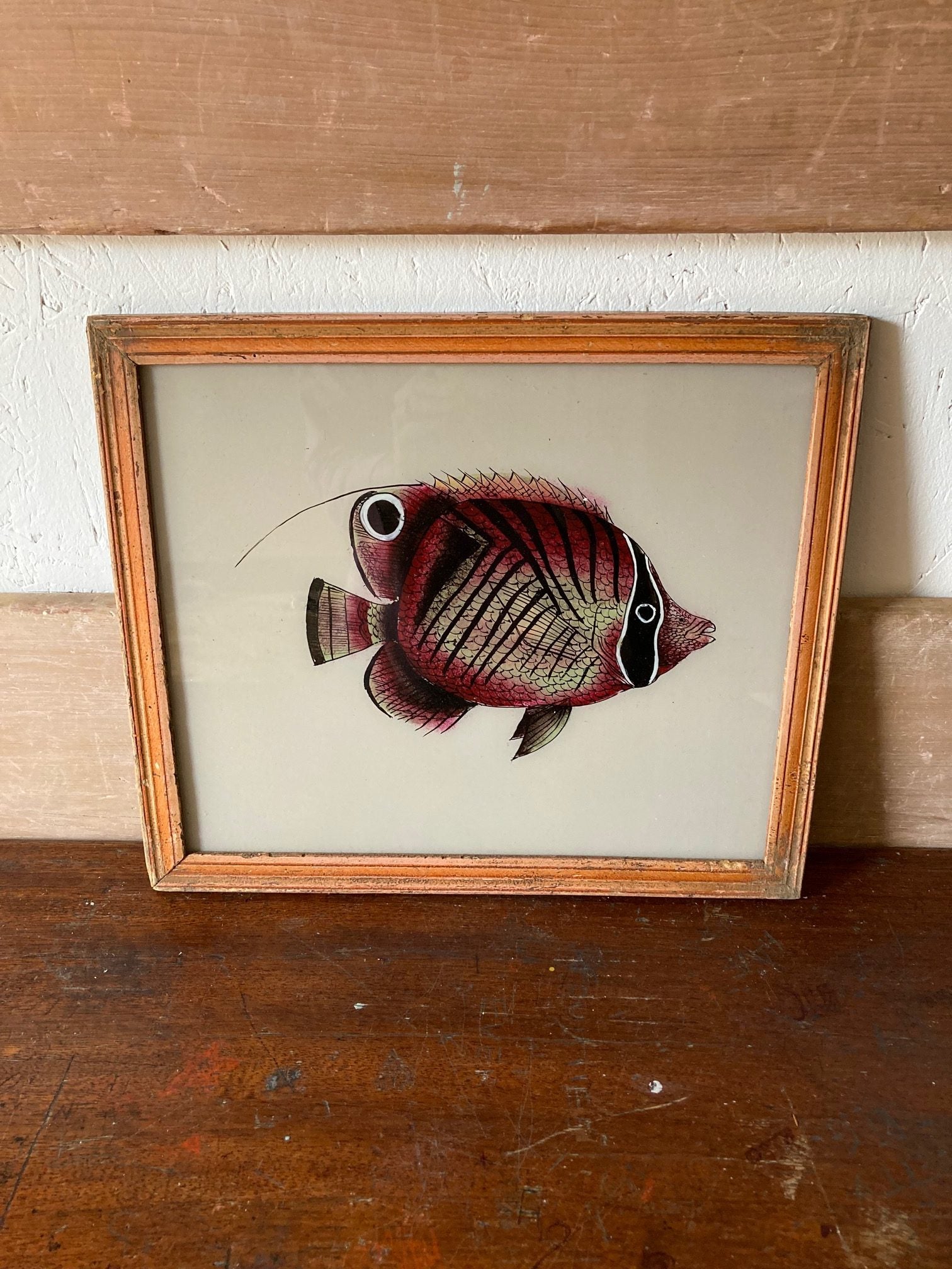 fish-3