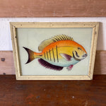 fish-picture-1