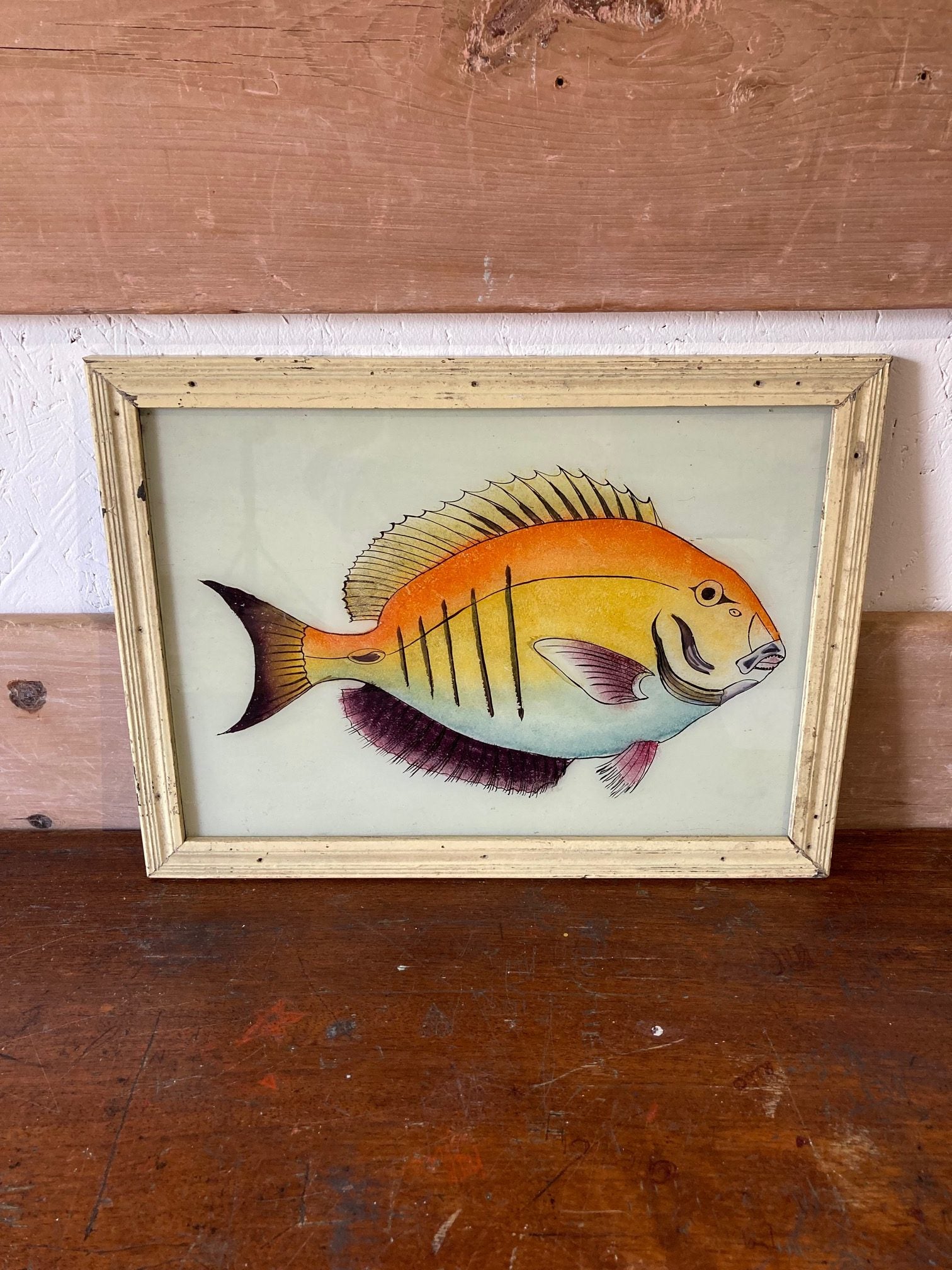 fish-picture-1