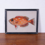 fish-picture-1
