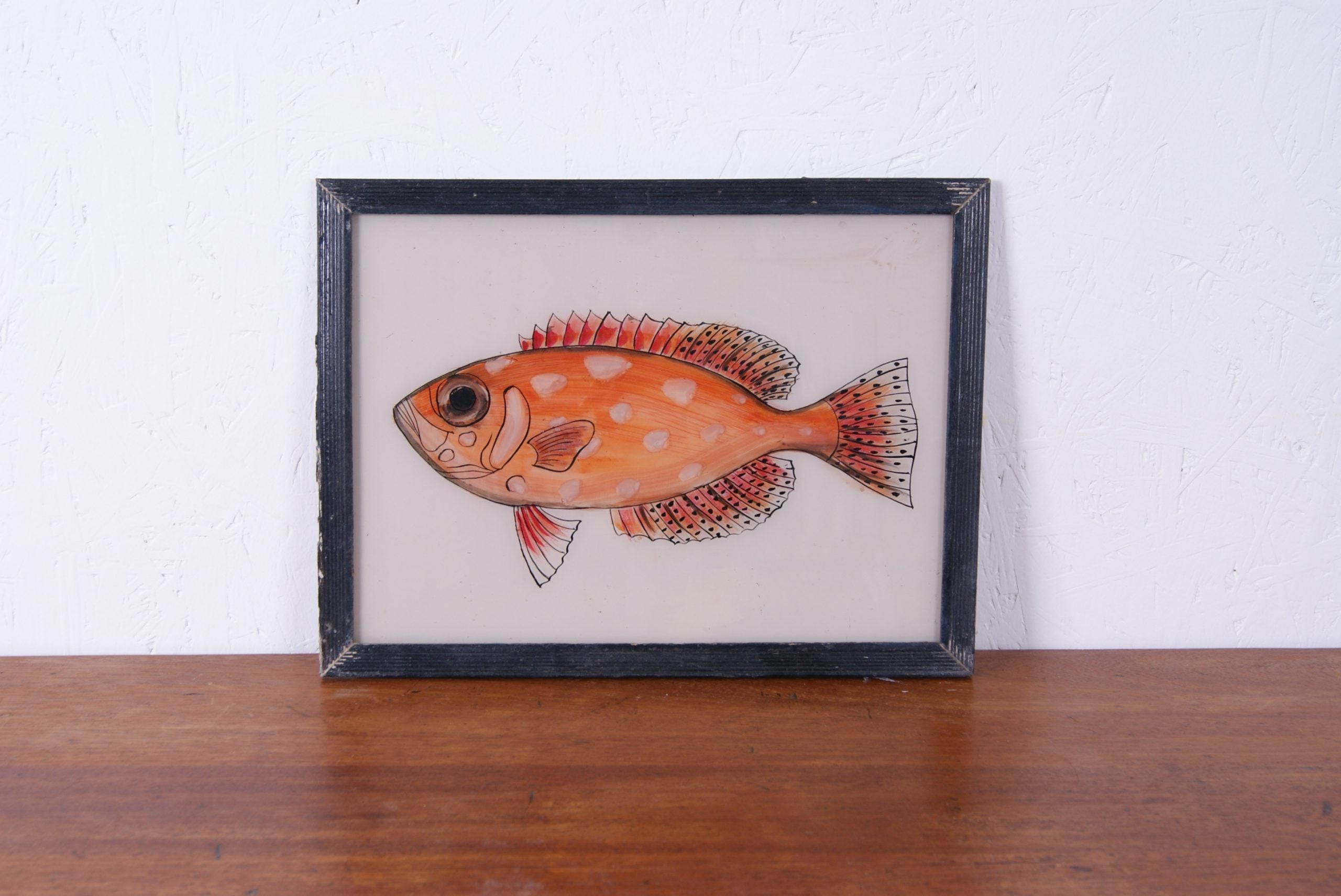 fish-picture-1