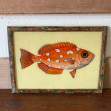 fish-picture-2