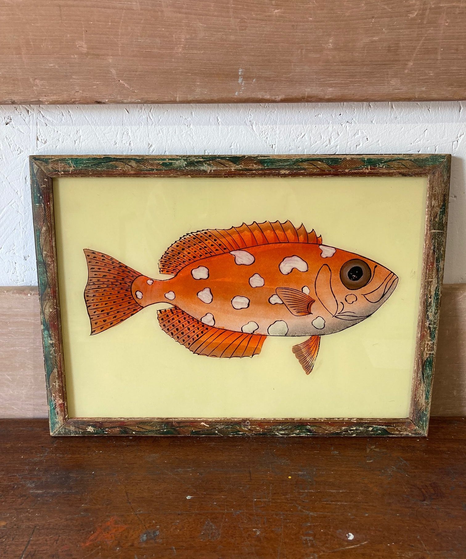 fish-picture-2